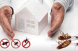 Pest Control service