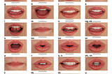 Multi-Modal Methods: Visual Speech Recognition (Lip Reading)