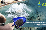 Potential fishmeal substitutes for Aquaculture feed