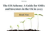 The EIS Scheme: A Guide for SMEs and Investors in the UK in 2023