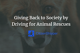 Giving Back to Society by Driving for Animal Rescues