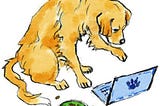 Dog searching for a dog house on the computer