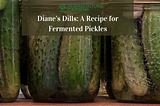 Diane’s Dills: A Recipe for Fermented Pickles