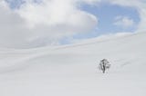 A lone tree on a snowy hill with clouds over the horizon