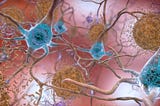 Research Fraud Bombshell Threatens Amyloid Hypothesis