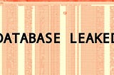 HOW TO USE LEAKED USER DATABASE?