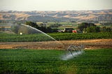 Capturing Holistic Scope 3 Impact: Water Usage in Food Supply Systems