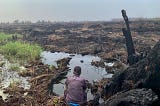 4 Dampak Penyiapan Lahan dengan Pembakaran terhadap Kondisi Biofisik Lahan Gambut