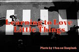 Learning to Love Little Things