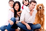 Tips For When You Bring Your New Dog Home