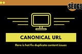 Canonical URL — 2020 SEO best practices | TheSEOGuy |