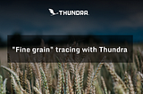 “Fine grain” tracing with Thundra