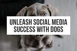 How to Become a Successful Dog Influencer: Tips, Strategies and Tools