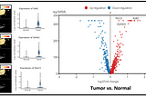 Immunoglobulin genes up-regulated in lung adenocarcinoma infiltrating T cells: A report from…