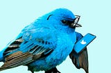 Combating misinformation on Twitter