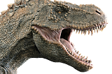 Dinosaurs and extinction event : Origin and end of prehistoric creatures. Life after the Extinction