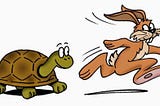 Turtle and Hare race