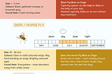 Fly Bites on Dog Infographic. Infographic created by SYDE Road, contains information about the three common types of biting flies in Ontario, their key physical characteristics, a description of how fly bites can appear on a dog.