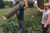 treemendous tree care crew