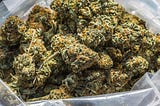 Orange Strain: Guide on How to Select The Best Cannabis Products