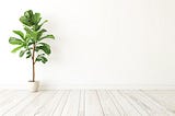 Interior Empty White Wall with Plant Graphic Product Mockups
