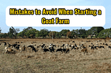 Mistakes to Avoid When Starting a Goat Farm