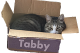 Tabby: A Language Model Architecture for Tabular and Structured Data Synthesis