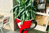 Coffee Cup Planter