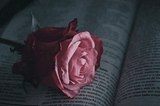 Toppling the 2026 TBR: Here Are the Upcoming Romance Releases