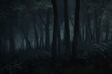 Mirkwood: Fairy Tale Forest Reimagined