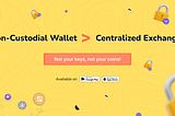 Non-Custodial Wallets: A Safer Alternative to Centralized Exchanges