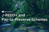 J-REDD+ and Pay-to-Preserve Schemes