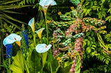 Basque Garden