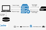 Web Cache Poisoning