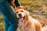 犬から『溺愛される』飼い主の特徴5選　好かれやすい人の共通点や愛されるために意識すべきことまで