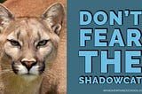 Mountain Lion Attack — How To Not Fear The Shadowcat