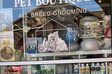 Debbie's Dog Grooming: Posh Pooch Pampering Secrets!