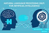 Natural Language Processing (NLP)