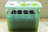 Fogponics 101: Hydroponic Growing With Fog Guide