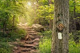 Tips for Thru-Hiking the Appalachian Trail