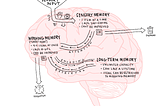 How To Hack Your Brain’s Built-In Processor