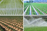 https://www.goodlandgurus.com/methods-of-irrigation/