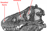 (Spanish) Los dinosaurios no se extinguieron