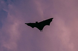 A Personal Request . . . And a Message From a Bat