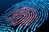 Data Fingerprinting in JavaScript