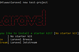 How to create a project in Laravel 11