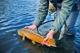 Landing Big Fish: 5 Tips (Fly Fishing)