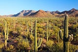 Building regional prosperity across the Sonoran Desert