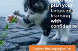 Exploring languages, one of the best ways to test the waters before committing to learning a…
