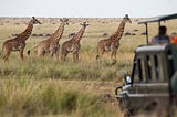 6 Safari holidays and Adventures Destination in Africa